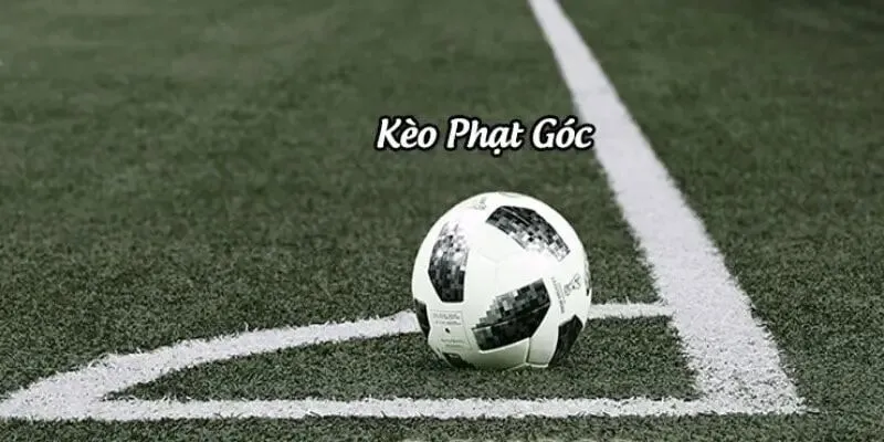 Kèo Phạt Góc Là Gì? Hướng Dẫn Chi Tiết Cách Đọc & Phân Tích Corners 7 kèo phạt góc 2025